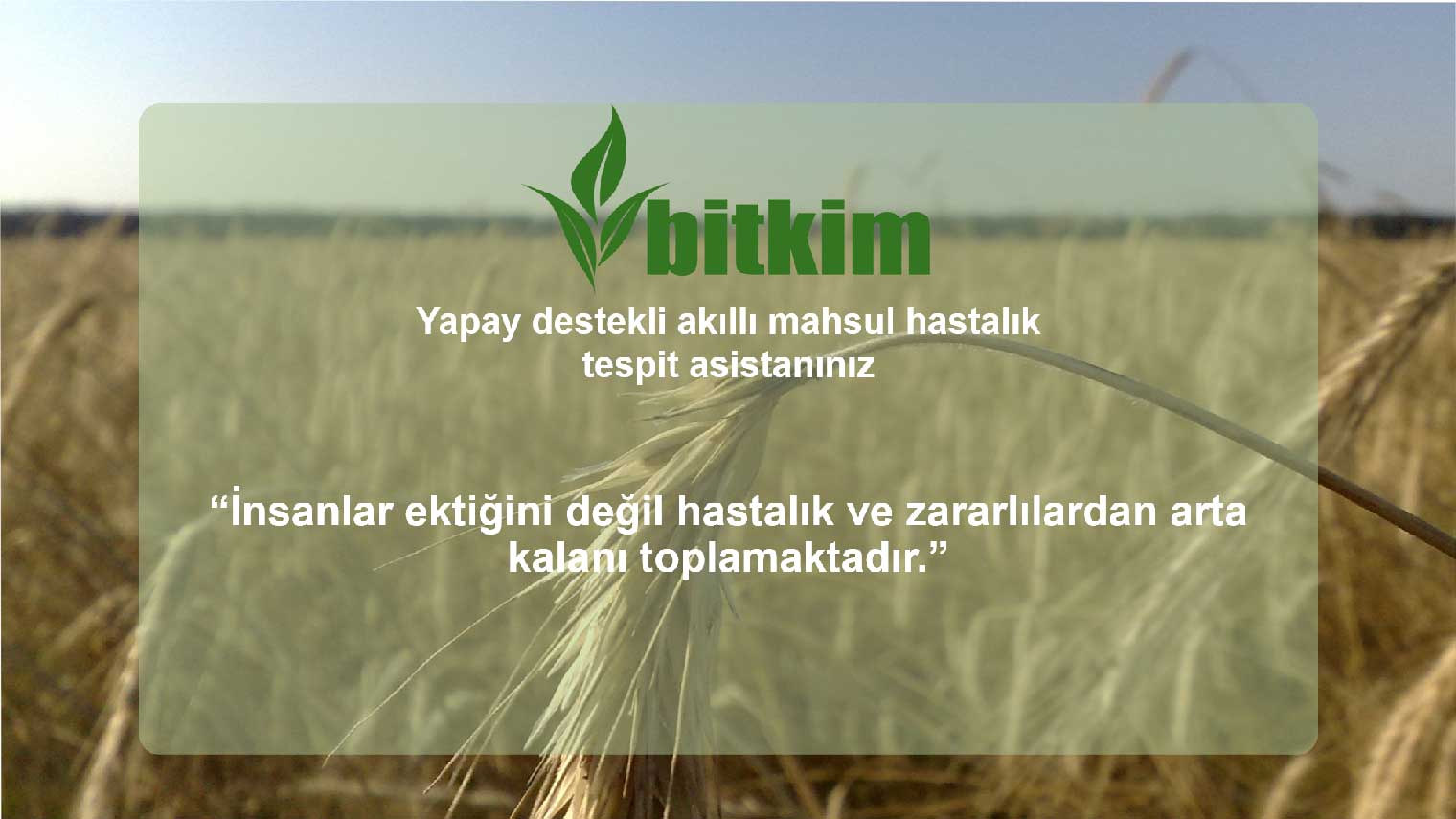 Bitki hastalık tespiti asistanı